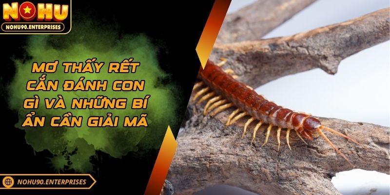 Mơ thấy rết cắn đánh con gì và những bí ẩn cần giải mã